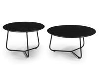 Ensemble de tables basses modernes en fer/bois rondes, lot de 2, meubles de salon, collection prix de gros
