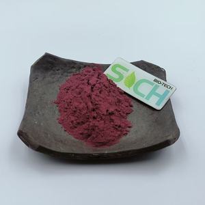 Oxyde de fer rouge de qualité cosmétique <span class=keywords><strong>CI77491</strong></span> pour fards à paupières, fards à joues, vernis à ongles et rouges à lèvres - Product Image 1