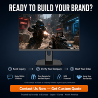 Moniteur de jeu OEM 420Hz 24,1 pouces FHD 0,2 ms 93% DCI-P3, écran Esports sous marque privée pour les distributeurs de marques