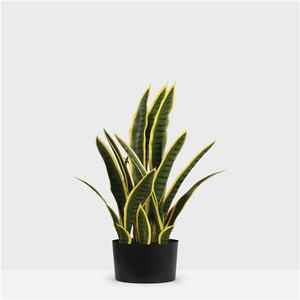 Árbol Bonsái de Agave Amarillo Verde, Suculenta <span class=keywords><strong>Lengua</strong></span> de la Madre de la <span class=keywords><strong>Suegra</strong></span>, Plantas Artificiales de Venta Caliente, Plantas Serpiente para Decoración del Hogar y Oficina - Product Image 3