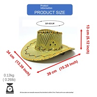 Chapeau de cowboy à paillettes, accessoire festif pour les célébrations de Pâques et de Noël, chapeau de cowboy lumineux à LED pour les spectacles et les fêtes
