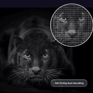 โปรเจคเตอร์วิดีโอ Yinzam <span class=keywords><strong>ViewSonic</strong></span> Max 1080p DLP, ความสว่าง 3200 ลูเมนส์ <span class=keywords><strong>240</strong></span> <span class=keywords><strong>Hz</strong></span> HDR สมาร์ทโปรเจคเตอร์ รองรับ 3D สำหรับการประชุมครอบครัว - Product Image 5