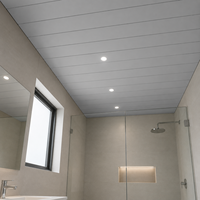 Panel de Techo de PVC Gris, Moderno, para Renovación de Oficinas Comerciales, WYRAX