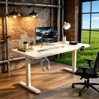 Bureau électrique ergonomique moderne et minimaliste en acier laminé à froid, réglable, écologique, pour la maison, le bureau, l'étude et les jeux