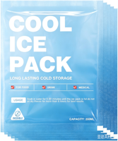 Packs de glace sèche personnalisés avec logo pour aliments, portables et jetables, et packs de glace en gel avec logo personnalisé pour aliments congelés