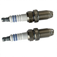Bougies d'allumage double électrode en iridium Auto FLR8LDCU+9 0242229654 0242229878 0242229519 pour BMW VW SUZUKI GM09146367 Bujia