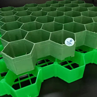 Pavés de gazon en plastique pour allée, 38mm, 50mm