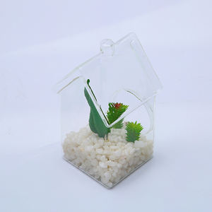 Transparente Hausform Glasvase <span class=keywords><strong>Terrarium</strong></span> mit Loch - Product Image 3