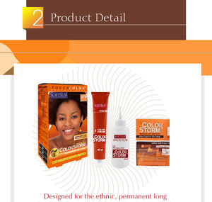 Ethnic Red Violet Brown Permanent Color <strong>Hair</strong> <strong>Dye</strong> <strong>Hair</strong> <strong>Dye</strong> Color <strong>Hair</strong> Color <strong>Dye</strong> Permanent From China - Product Image 4