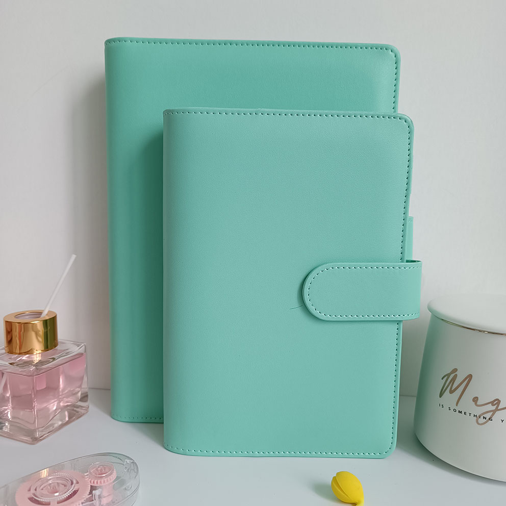 green Budget Binder (cover only)