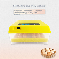 Incubateur automatique de caille de poulet de capacité de 48 oeufs Mini incubateur d'oeufs de puissance unique de ménage châssis de poussin intégré nouveau
