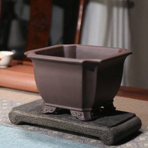 Maceta de Cerámica Wang Fei Zisha, Cuadrada con Esquinas Biseladas, Estilo Chino Clásico, Macetero Interior de Diseño Simple - Product Image 1
