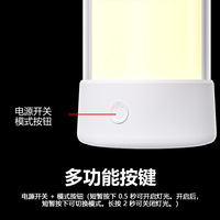 Lampe d'ambiance LED RGB Bluetooth rechargeable pour PC, effet flamme, pour camping extérieur, synchronisation musicale, contrôle par application, transfrontalière