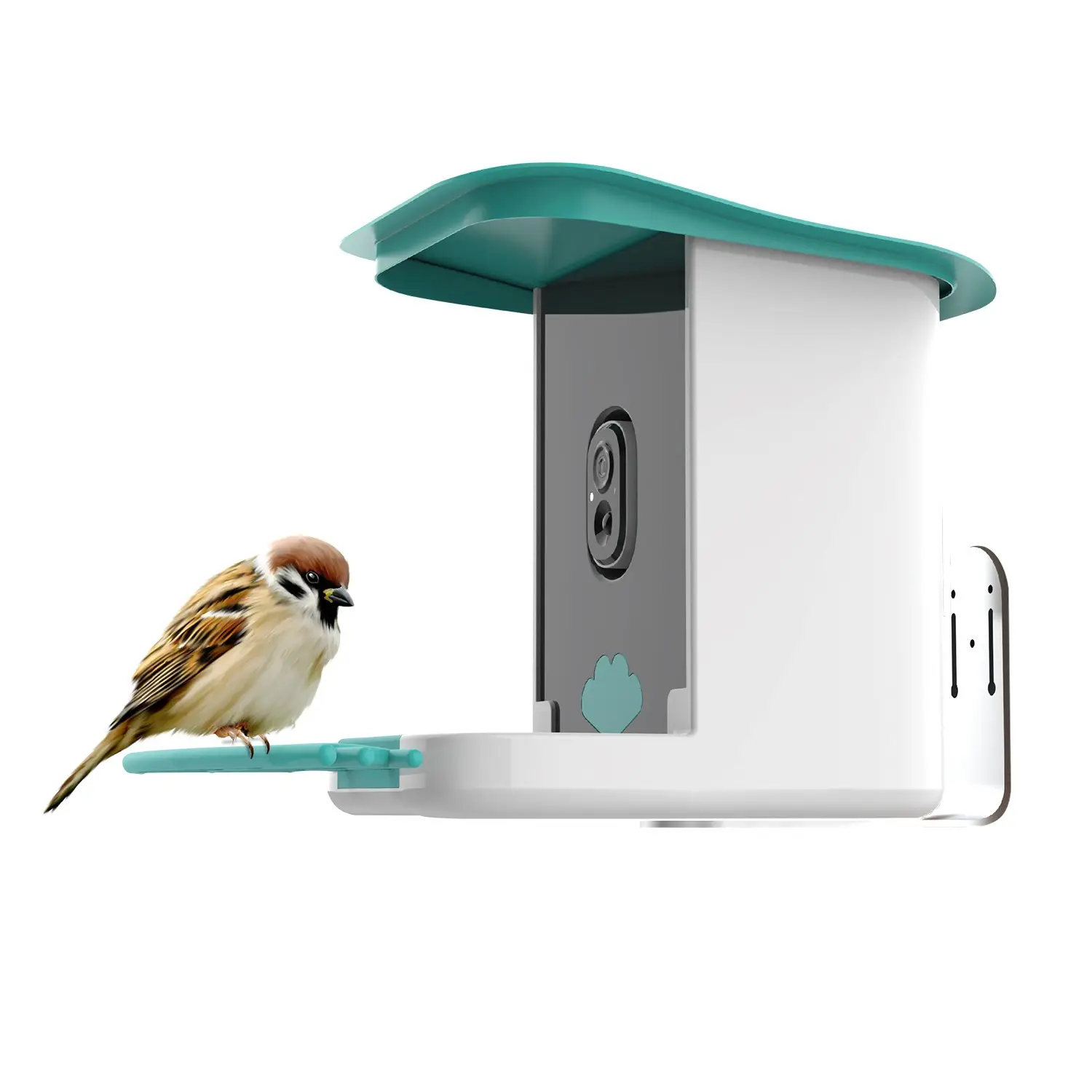 Eekhoorn Proof Bird Feeder Smart Met Camera Zoemende Wilde Vogel Feeder Hangen Huis Tuin Buiten