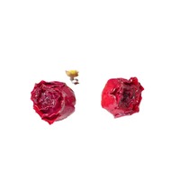 Bahan Anting Mawar Resin dengan Kepala Mawar Kering Liontin Bunga Asli Anting Delikat Perhiasan Anting Aksesoris Lubang Kancing