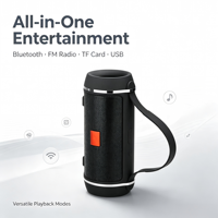 Haut-parleur radio FM mini portable sans fil double 3W stéréo Boombox rechargeable pour extérieur avec entrées AUX TF USB Audio