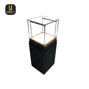 Vitrine transparente de qualité muséale utilisant du verre anti-reflet pour éliminer les éblouissements et améliorer la visibilité - Product Image 6