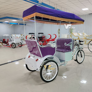 Tricycle électrique à trois roues avec cadre en acier, vélo cargo électrique, Lasten Triciclo - Product Image 5