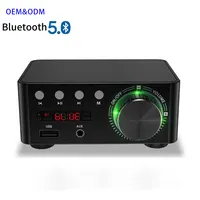 Miniamplificador Digital de Audio para coche, dispositivo HiFi 5,0, Clase D, 50W x 2, entrada USB/AUX, PA3116