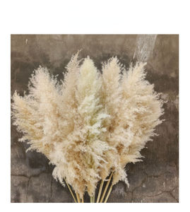 Bouquet <span class=keywords><strong>de</strong></span> fleurs séchées d'herbe <span class=keywords><strong>de</strong></span> la <span class=keywords><strong>pampa</strong></span> AAAAAAA, style nordique transfrontalier, pour décoration <span class=keywords><strong>de</strong></span> mariage et aménagement paysager, ornements pour arrangements floraux - Product Image 3