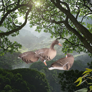 Leurre de <span class=keywords><strong>chasse</strong></span> recyclable en mousse EVA XPE pour oie et cerf Cible sauvage 3D pour décoration de jardin pour la <span class=keywords><strong>chasse</strong></span> <span class=keywords><strong>à</strong></span> <span class=keywords><strong>l</strong></span>'oie du Canada - Product Image 3