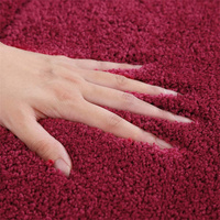 Tapis de bain modernes lavables et touffetés 30x18 pouces/24x17 pouces, lot de 2, en polyester, absorbants, doux, antidérapants, adaptés aux animaux domestiques, pour la maison et l'hôtel