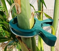 Écologique Réutilisable PP Durable Léger Jardin Support Serre Plante Fixe Clips Vigne Fleur Tomate Semis Support