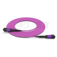Câble de brassage fibre optique MTP MPO 8, 12, 24 fibres OM3 OM4 Multimode Monomode à faible perte, transmission rapide, pour FTTx FTTH, garantie 1 an