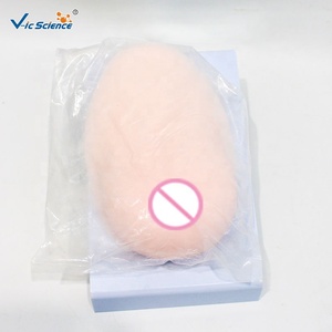 Modelo de Silicona Médica para Entrenamiento de <span class=keywords><strong>Lactancia</strong></span> <span class=keywords><strong>y</strong></span> Forma de Senos Durante la <span class=keywords><strong>Lactancia</strong></span> - Product Image 1