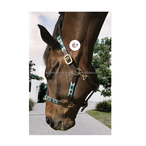 Polo de cheval en cuir, licou, qualité supérieure, nouveauté - Product Image 1