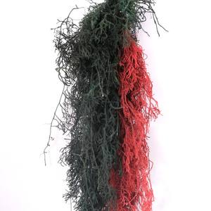 Drago di montagna DIY aromaterapia galleggiante bottiglia di cervo corna di erba pino pino vero fiore vita eterna fiore per la laurea - Product Image 1