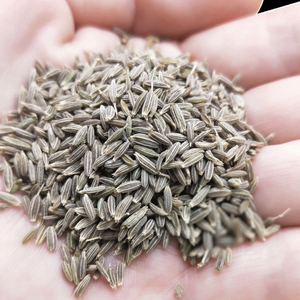 <span class=keywords><strong>Semi</strong></span> di <span class=keywords><strong>cumino</strong></span> di spezie singole all'ingrosso in fabbrica dai prezzi del <span class=keywords><strong>cumino</strong></span> dell'india - Product Image 2