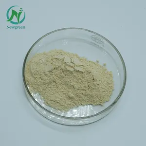 Newgreen Top Quality Lecithin Soy Hydrogenated Lecithin Good Quality Lecithin Soybean