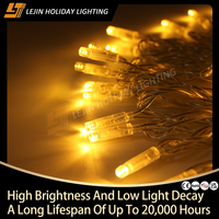 Guirlande lumineuse LED blanche chaude de 10 m pour extérieur, personnalisable, commerciale, de Noël, en PVC, étanche IP44, garantie 2 ans