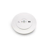 Lámpara LED de Emergencia Recargable de 475lm LiFePO4 con Doble Lente, Tipo Pasillo, Interruptor de Prueba Manual, Estándar Australiano CB CE SAA