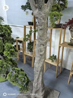 Taille et forme personnalisées grand olivier artificiel facile à installer intérieur maison hôtel naturel vert en plastique fausse plante