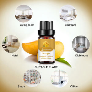 1kg d'huile essentielle de mangue pure à base de peeling pour thérapie, massage corporel, bain, diffuseur et fabrication de bougies - Product Image 6