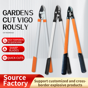 Outils de jardin, grandes cisailles d'élagage, coupe-<span class=keywords><strong>branches</strong></span> épais, sécateurs <span class=keywords><strong>pour</strong></span> arbres fruitiers, <span class=keywords><strong>pour</strong></span> l'élagage des arbres - Product Image 5