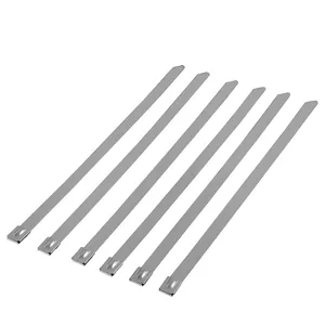 4.6x100MM 201material Factory provide customized size self locking heavy duty stainless steel zip cable tie