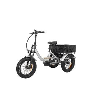 OTM Otmar Bafang 48V 1000W 20*4.0 Center Drive Motor Camping Electric Cargo Bike Rear Trunk Bag 3 Wheel Electric Bike E Bike