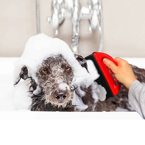Brosse en silicone de haute qualité pour enlever les poils d'animaux, outil de nettoyage pour tapis, brosse à poils et à débris en silicone pour nettoyer les canapés - Product Image 3