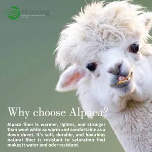 All-Season Hypoallergenic Thermal Control 100% Alpaca Wool Fill Natural Sustainable Down Alternative Duvet Comforter