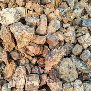 Décorations de pierres en bois pétrifié pour aquarium moderne - Naturelles, pH neutre pour l'aquascaping - Product Image 4