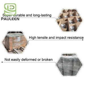 Popular Hot Dipped Galvanized Welded Mesh Solar Panel Bird Wire Guard Kit Proof Pigeon <strong>Net</strong> - Product Image 3