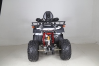 Quad Tao Motor 200cc 48V automatique, Tao Motor Bull 200 Quad ATV avec démarrage électrique EPA ECE, transmission par chaîne 2 roues motrices