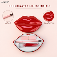 Ensemble de rouge à lèvres, gloss et crayon à lèvres 3 en 1, emballage de luxe en forme de lèvres, boîte de rangement, rouge à lèvres imperméable, cosmétique pour les lèvres, marque privée, coffret cadeau de maquillage