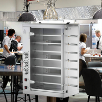 Rôtissoire à gaz commerciale en acier inoxydable nouvel équipement de cuisson pour restaurants magasins d'alimentation centres commerciaux pour magasins de poulet rôti