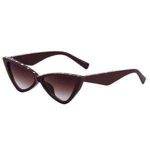 Gafas de sol estilo europeo con forma de ojo de gato para mujer UV400 con montura de PC color rosa DG 1038 - Product Image 3