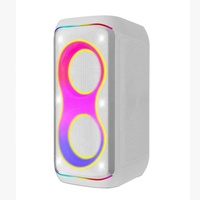 Sistema de Karaoke para el Hogar con Sonido Estéreo TWS BK-6619, Subwoofer de 6.5 Pulgadas X2, Audio Estéreo de Alta Fidelidad, RGB, Micrófonos Dobles para Fiestas al Aire Libre