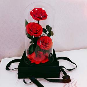 חיה ורדים משומר נצחי 3 פרחים סיטונאי ורד נצחי מתנה ליום של ולנטיין זכוכית - Product Image 4